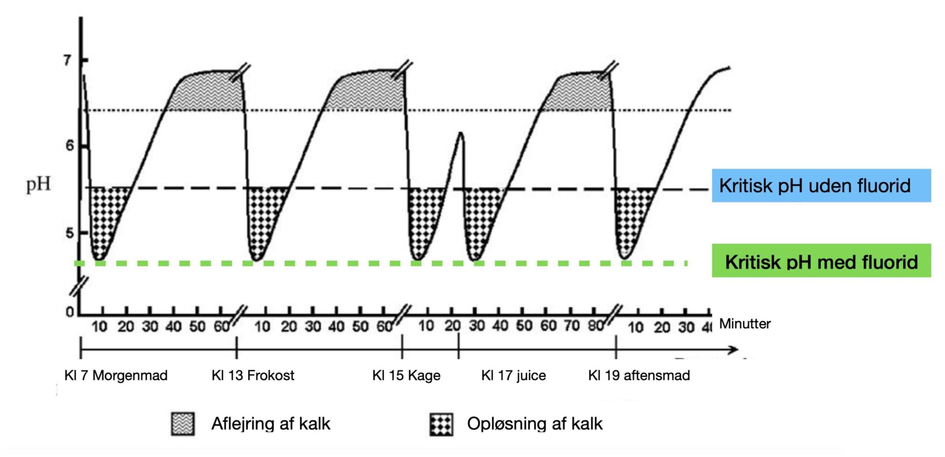 Graph of pH vs time showing cyclic rises and falls with two critical pH lines (green: with fluoride, blue: without fluoride) and shaded regions indicating calc deposition and dissolution across meals.